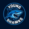 Young sharks